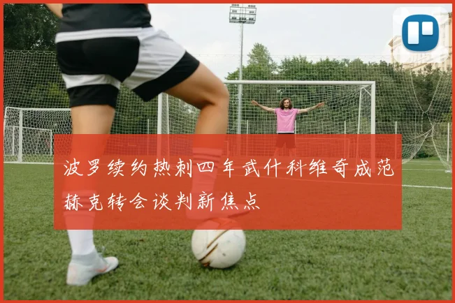 波罗续约热刺四年武什科维奇成范赫克转会谈判新焦点